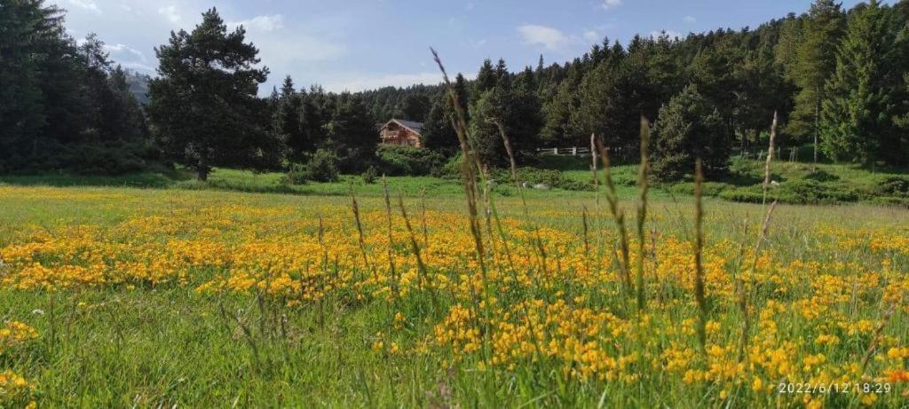Apt Confortable Au Pied Des Pistes Et De La Foret Bolquere ภายนอก รูปภาพ