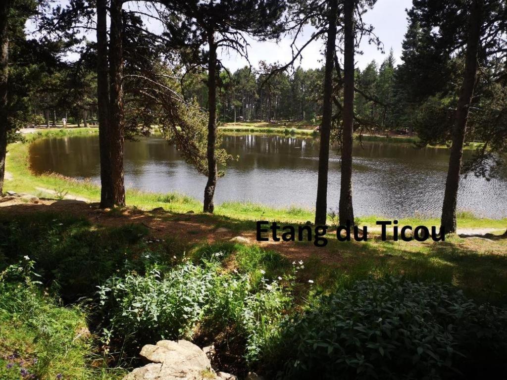 Apt Confortable Au Pied Des Pistes Et De La Foret Bolquere ภายนอก รูปภาพ